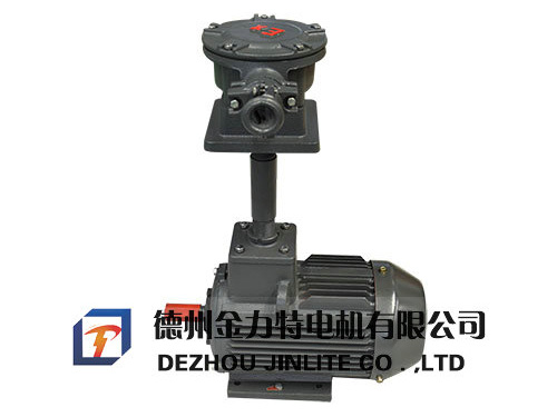 加長型風(fēng)機(jī)用YB3系列隔爆型三相異步電動機(jī)